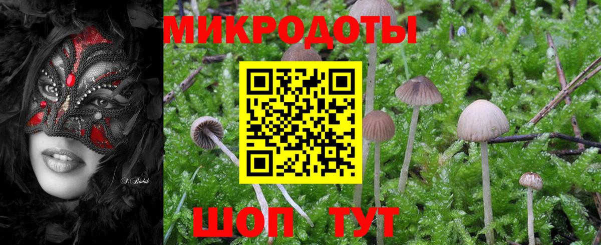 Псилоцибиновые грибы Cubensis  Галлюциногенные грибы ЛСД  Истра  хочу   Вход с VPN 